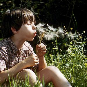 Foto Claude Nuridsany