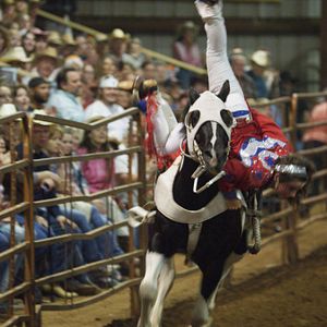 Foto Cowgirls n' Angels