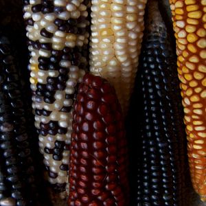 Foto Ends of the Earth