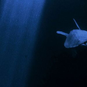 Foto Ends of the Earth