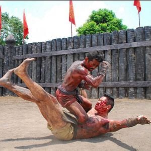 Foto Samurai Ayothaya