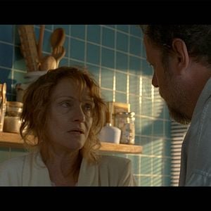 Foto El gato desaparece