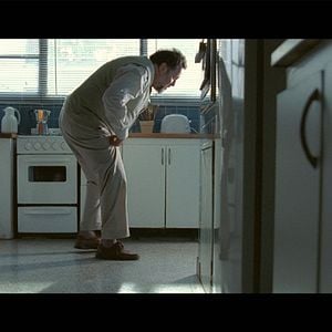 Foto El gato desaparece