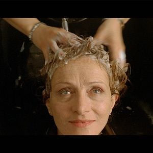 Foto El gato desaparece