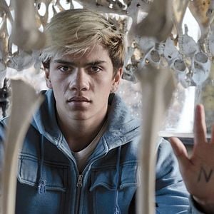 Foto Top of the Lake