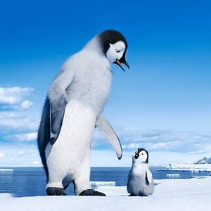 Foto Happy Feet 2