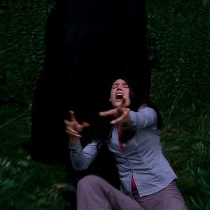 Don''t Go in the Woods - Película 2010
