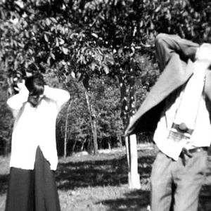 Foto A travers les branches d'un arbre