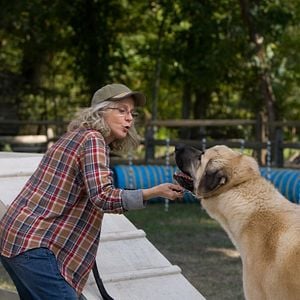 Foto Cuando te encuentre