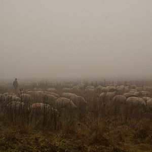 Foto Off the Beaten Track