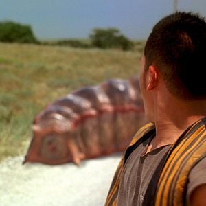 Foto Larvas asesinas