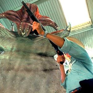 Foto Larvas asesinas