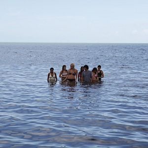 Foto El ataque del tiburón de dos cabezas