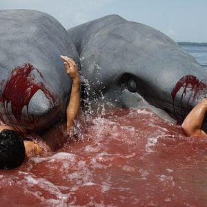 Foto El ataque del tiburón de dos cabezas