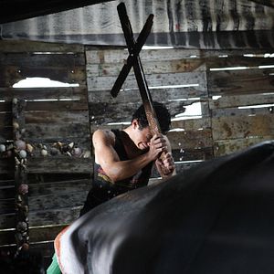 Foto El ataque del tiburón de dos cabezas