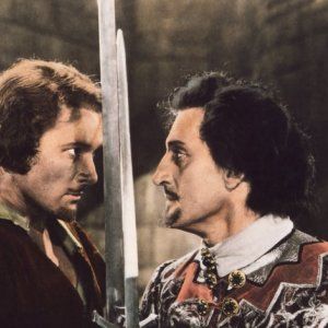 Foto Robin de los Bosques