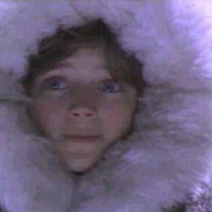 Foto Un muchacho llamado Norte