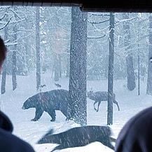 Foto El cazador de sueños