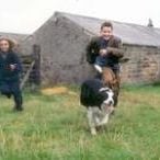 Foto Un ángel para May