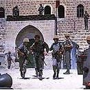 Foto Águila de acero