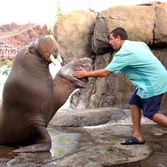 Foto 50 Primeras Citas