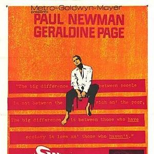 Foto Dulce pájaro de juventud