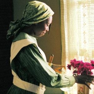 Foto El color púrpura