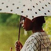 Foto El color púrpura