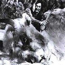 Foto El desafío del búfalo blanco