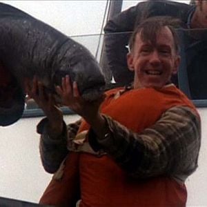 Foto Alguien voló sobre el nido del cuco