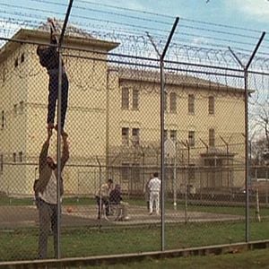 Foto Alguien voló sobre el nido del cuco