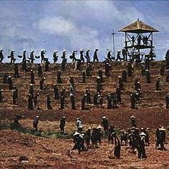 Foto Los gritos del silencio