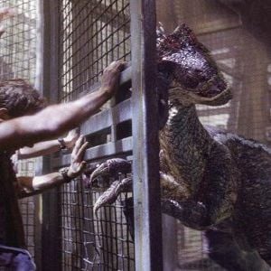 Foto Jurassic Park III (Parque Jurásico III)