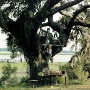 Foto El príncipe de las mareas