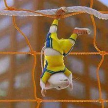 Foto Stuart Little 2