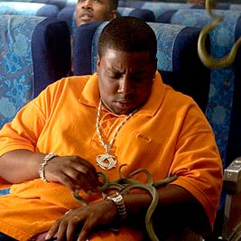 Foto Serpientes en el avión