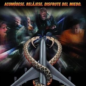 Foto Serpientes en el avión