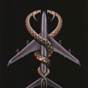 Foto Serpientes en el avión