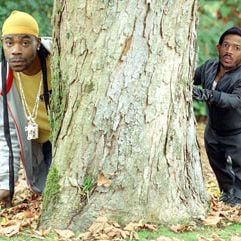 Foto Pequeño pero matón