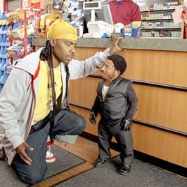 Foto Pequeño pero matón