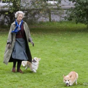 Foto The Queen (La Reina)