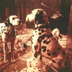 Foto 101 Dálmatas (¡Más vivos que nunca!)