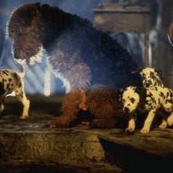 Foto 101 Dálmatas (¡Más vivos que nunca!)