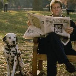 Foto 101 Dálmatas (¡Más vivos que nunca!)