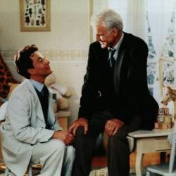 Foto Vuelve el Padre de la Novia