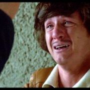 Foto El juego del halcón