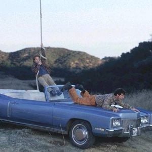 Foto Ratas a la carrera