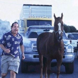 Foto Ratas a la carrera