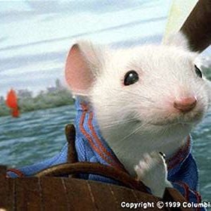 Foto Stuart Little