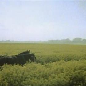 Revolución - Película 1985